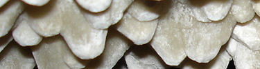 Nailhead spar crystal (NPS Photo)